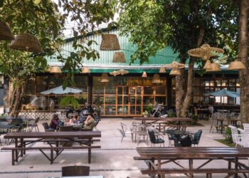 Jungle Base Grounds - Coffee: Visit your Eco-friendly neighborhood Cafe