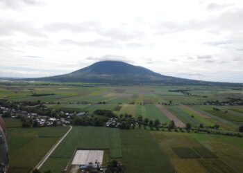 Thousands of trees were planted on Mount Arayat
