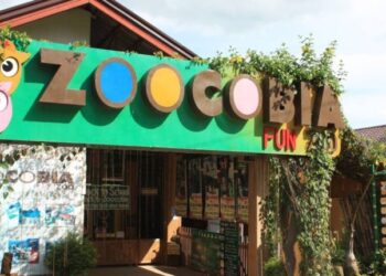 Zoocobia Fun Zoo: Clark’s First Adventure Zoo Park