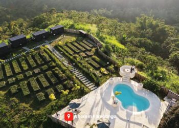 The Black Cabin Nature Camp: A Peaceful Nature Escape You’ll Want to Experience in Tarlac